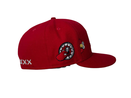 Boston Red Sox x KAWS